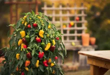 Uniquefilename 1745851508