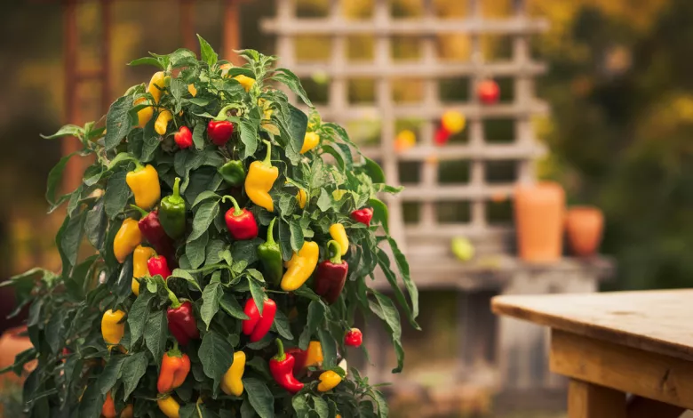 Uniquefilename 1745851508