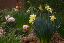 Uniquefilename 1745851901