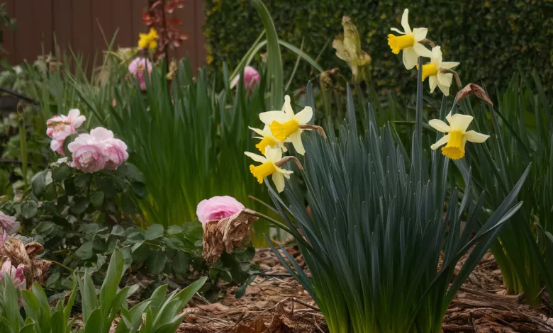 Uniquefilename 1745851901