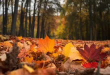 Uniquefilename 1745855324