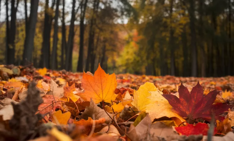 Uniquefilename 1745855324