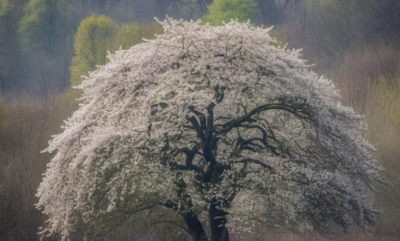 Uniquefilename 1745856973