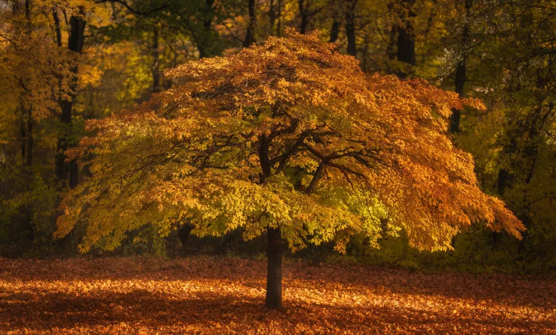 Uniquefilename 1745875565