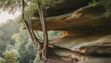 Uniquefilename 1745877231