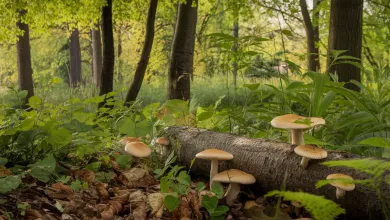 Uniquefilename 1745910438