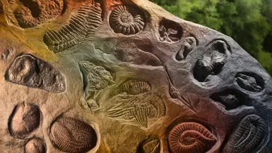 Uniquefilename 1745913308