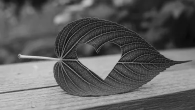 Uniquefilename 1745914942