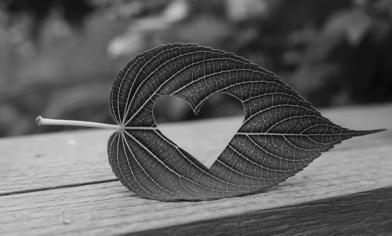 Uniquefilename 1745914942